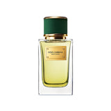 Dolce & Gabbana Velvet Vetiver Eau de Parfum For Unisex - 100 ml