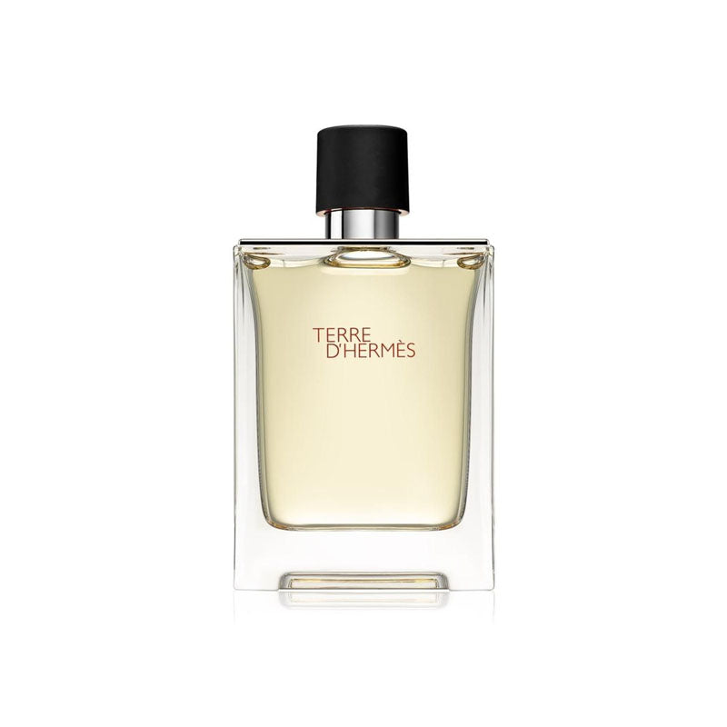 Hermes Terre D'Hermes EDT For Him - 100 ml