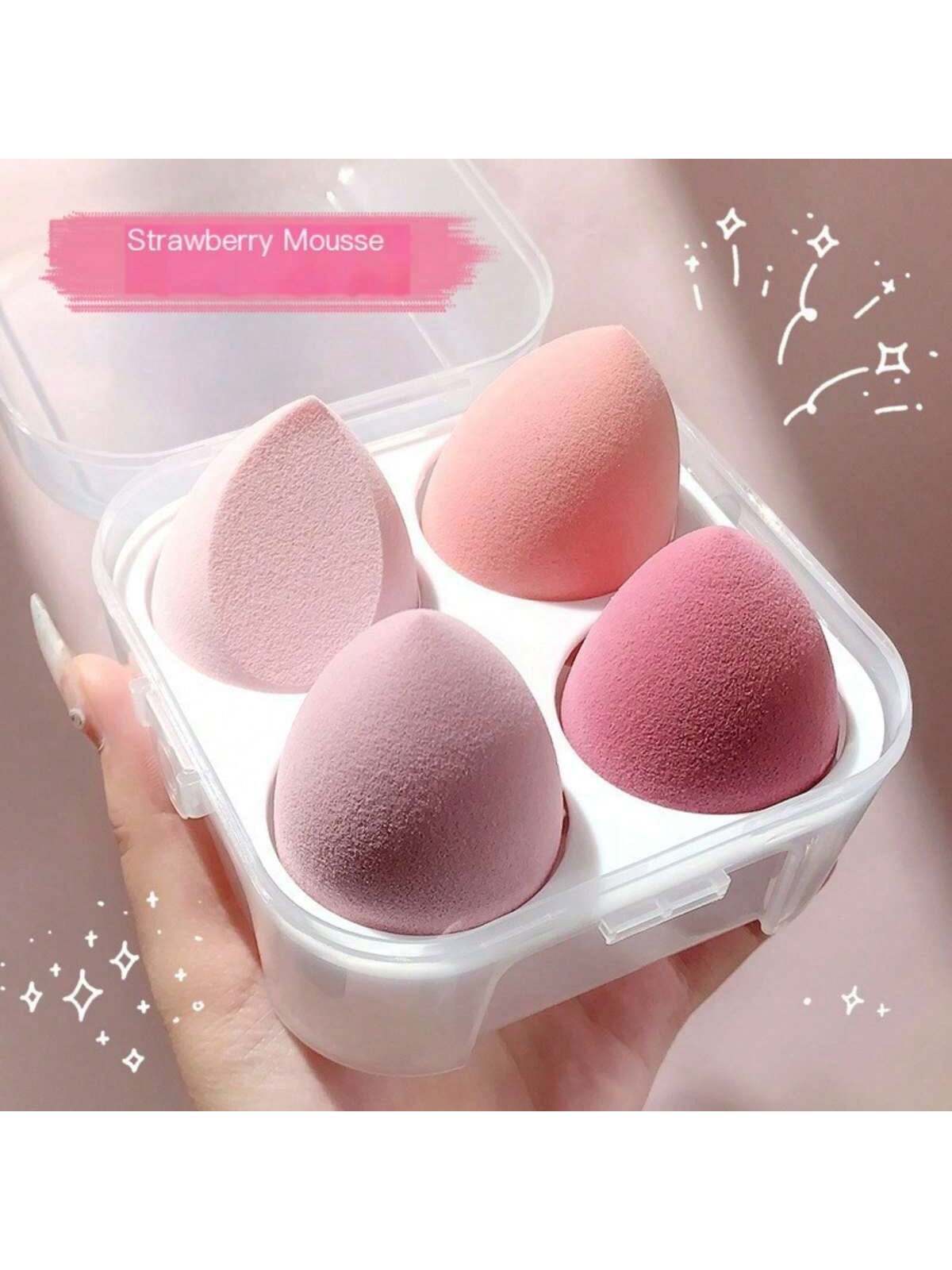 Blender Set with Storage Box Flawless Makeup Application - 4 Pcs