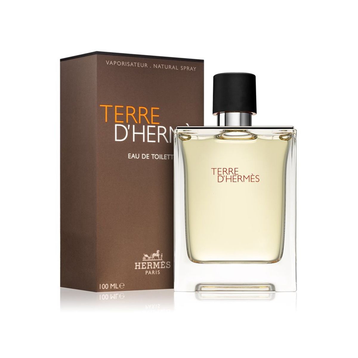 Hermes Terre D'Hermes EDT For Him - 100 ml