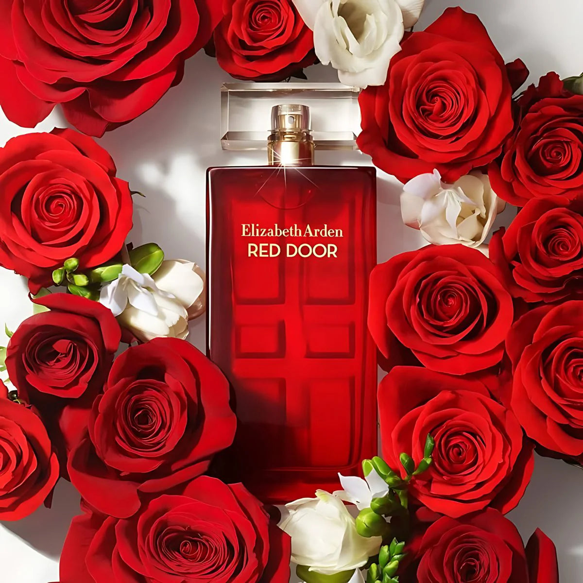 Elizabeth Arden Red Door EDT for Her - 100 ml